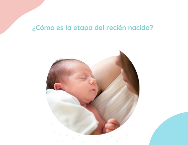 ¿Cómo es la etapa del recién nacido?